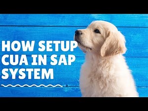 SAP Security Training How to Setup CUA in SAP System