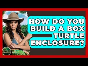 How Do You Build A Box Turtle Enclosure? - Reptilian Wonders