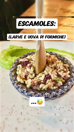 CIBI PIU DISGUSTOSI AL MONDO!