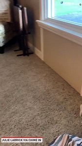 Deer fight on a neighborhood lawn in Loveland, Ohio. | The National Desk - TND