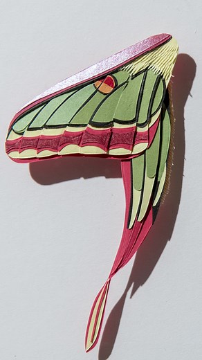 3.2K views · 34 reactions | Nibha Sikander's 3D figures of birds and...