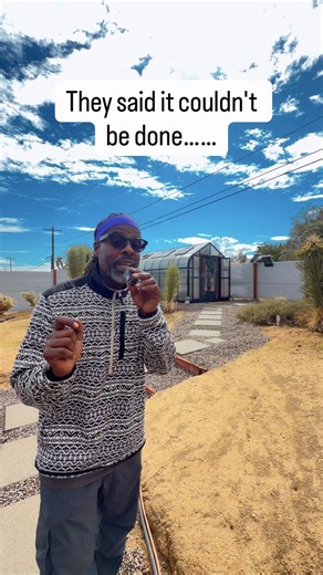 Lots of people told me it would be impossible to grow food in the hot desert 🏜️. So I built a greenhouse this summer. With my grow towers from Tower Garden, I can keep up with my lifestyle and turn my backyard into a farmers market 🙏🏾. Ask me some questions. I'm ready to switch into education mode. Let's grow! | Turnip Vegan