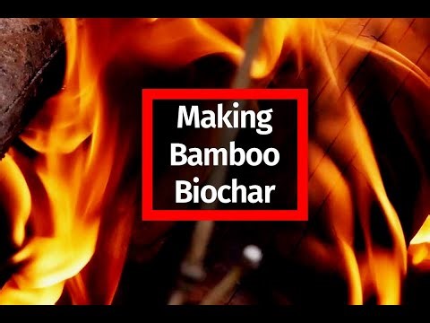 Revolutionize Your Gardening with Biochar Made from Bamboo!