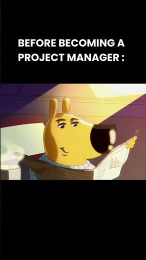 Life Before Project Management vs After