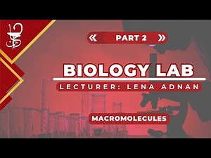 Biology Lab: Unit 3 - Macromolecules (part 2)