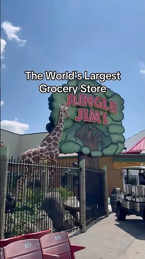 The Worlds Largest Grocery Store is in OHIO 🧀🥒📍 Jungle Jim’s International Market