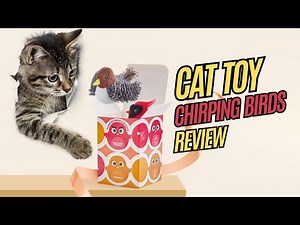 Best Cat Toy for Indoor Cats Potaroma Chirping Birds Review!