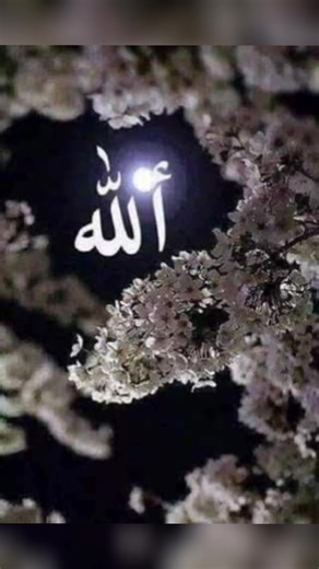 Exploring Islamic Teachings and Spirituality