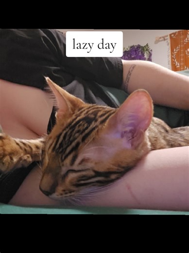 Echo & Salvatore (@echo.salvatore)’s videos with back to the basics lana del rey - ☆