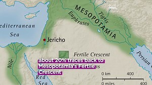 DNA analysis from 4,600-year-old skeleton uncovers hidden link between Egypt and Mesopotamia