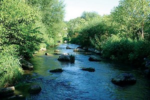 Watershed Protection and Restoration | Penn State Extension