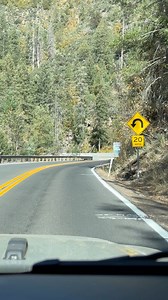 Driving 89 a through Oak Creek Canyon - Arizona | Where The Road Wanders