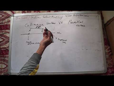 Collinear Vectors Vs Parallel Vectors