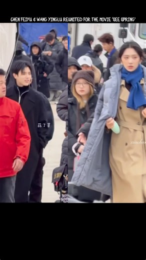 Chen Feiyu & Wang Yinglu reunited for the movie ‘See Spring’ 💗 #chenfeiyu #wangyinglu #shorts #viral