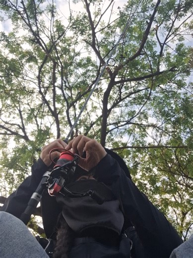 เอาจริงๆก็ยังคาใจอยู่นะ ตัวอะไรหว่า? 🤔 #บ่อตกปลาเอกกุหลาบฟิชชิ่งปาร์ค #รอกแคสคิงชาร์กกี้3 #คันเบ็ดเบ็นมิงโก้แลนวิโด้ #หลักวางคันเบ็ด #สายเอ็นซูกายิลาง