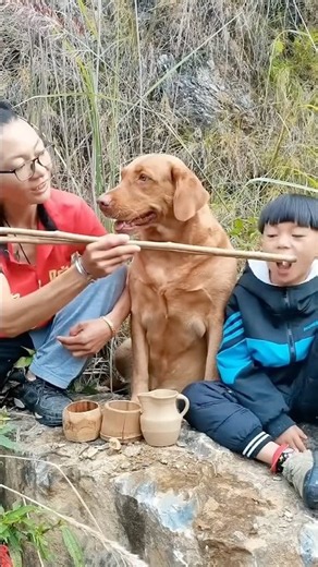 If you don't have a dog, you don't know the joy of raising a dog. Living in the country