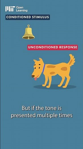 Why Pavlov's dogs won a Nobel Prize