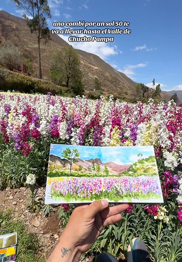 La mejor época para visitar el valle de las flores en Tarma, Perú