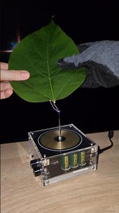 High-voltage sparks: electro leaf 🍃 #experiment #teslacoil #physics #plant