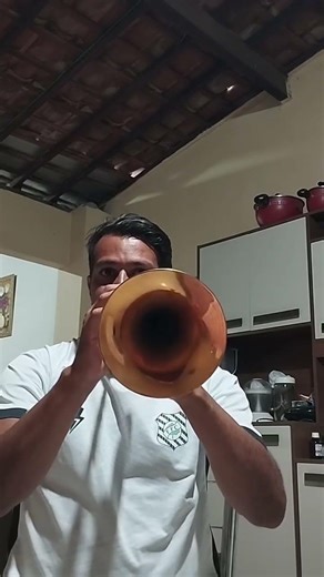 Trumpet solo 🎺 #trumpet#music#instrumentalmusic#musicians#musiclovers#brass