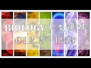 KSSM Biology 中文讲解班 (Chapter 12.2 - 12.3)