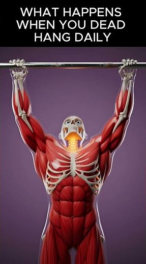 Dead Hang vs Belly Fat | What Actually Happens Inside