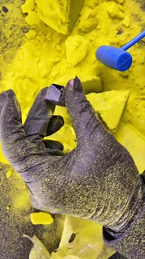 World Record Dig It Digger ⭐️💎 Fastest Time To Open A Dig It #satisfying #asmt #toy #digittoy | Trendy Treats