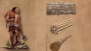 Luxury Cruises Uncovered: What Really Happens Behind the Glamour of Cruises?