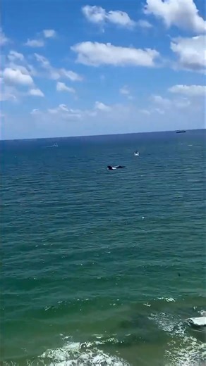 4.4K views · 206 reactions | #airforce #usairforce #fighteraircraft #usaf #fighterjet #aviation #aircraftdesign | Airforcess | Facebook