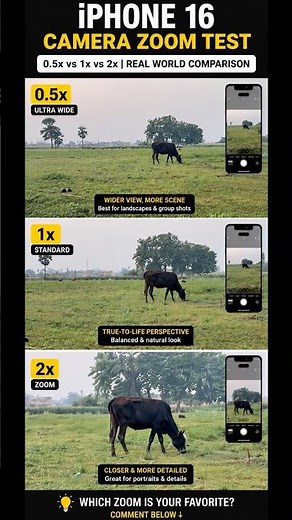 iPhone 16 Camera Zoom Test (0.5x, 1x & 2x) – Real World Comparison #shorts