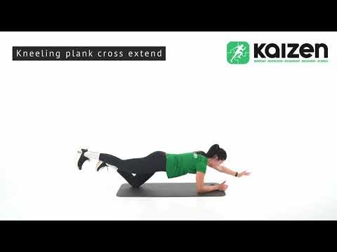 Kneeling plank cross extend