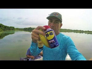 BFS Bass Fishing Using WD 40 on your Bait Mythbusters Edition
