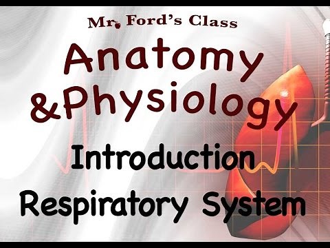 Respiratory System : Introduction To The Respiratory System (16:01)