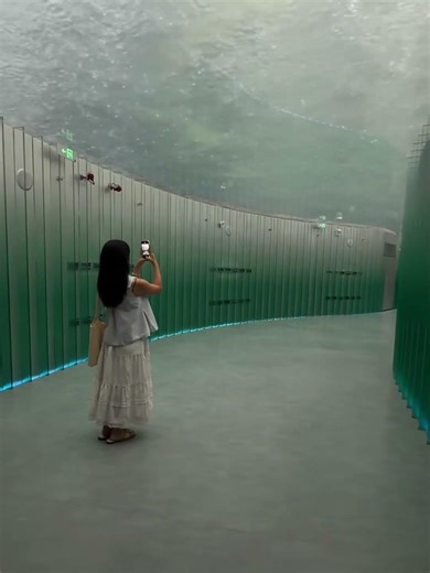 A Cyber-Jungle in Shanghai! 🌿🏙️ Exploring the stunning Shanghai Greenhouse.上海的赛博丛林！🌿🏙️ 探访震撼的上海温室花园。