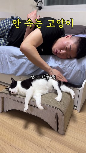 언더월드 고양이 벌레 잡기 노하우