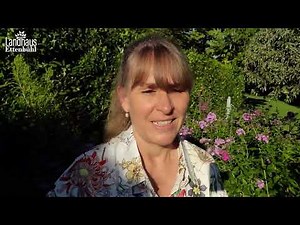 Rosenbögen und Lieblingsplätze mit Seppl