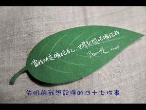 陳綺貞 Cheer - 失明前我想記得的四十七件事