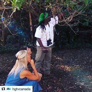 Don’t miss #IslandOfBryan tonight @ 10pm only on @hgtvcanada! #LittleBirdy #Repost @hgtvcanada ・・・ What a magical experience to witness an endangered species in its natural habitat! 🐦 #IslandOfBryan | Bryan Baeumler