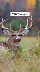 .270 vs 30-30? 💥 Best of all #hunting #whitetail | Matt's Adventures