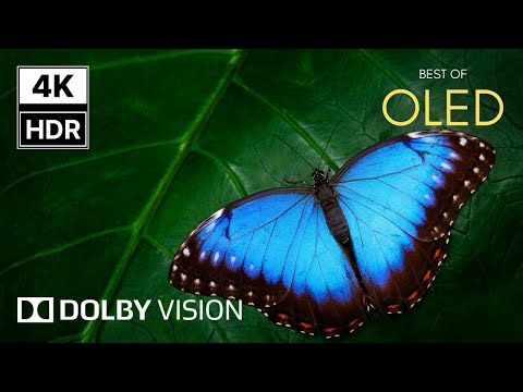 The World’s Most Beautiful 4K Video HDR | Dolby Vision 60FPS Ultra HD Experience