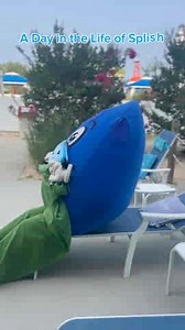 4.3K views · 34 reactions | Have you ever wondered how our mascot, Splish, gets ready for a day at Splish Splash? See what it's like to live the life of our Splish!  | Splish Splash | Facebook