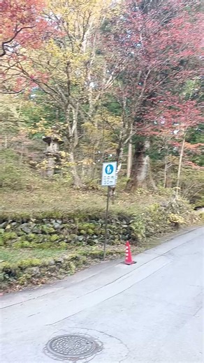The Magic of Nikko: Exploring Japan’s Most Stunning Shrine #shorts