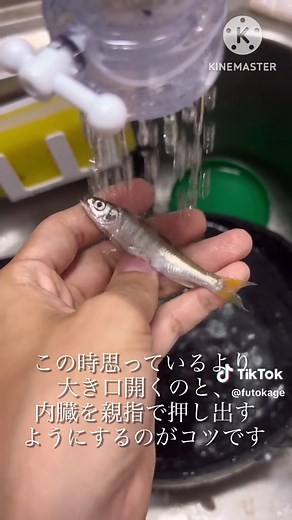 美味しく食べる：オイカワの塩焼きと串焼きのレシピ