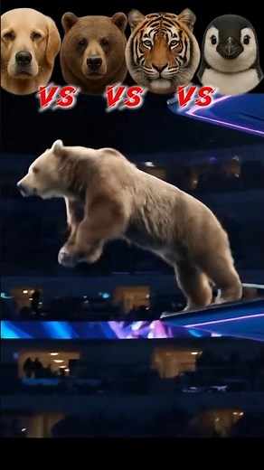 Animal Diving Olympics 🌊🏆 #animals #funny