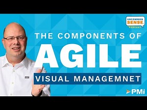 Agile Visual Management: Practical Advice from a Performance Consultant