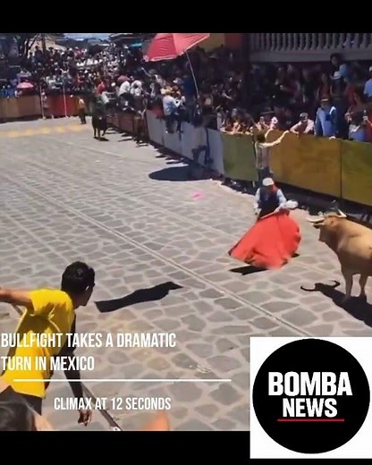 Bullfighter Knocked Down by Second Bull in Mexico