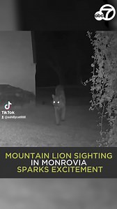 As SoCal mourns the loss of P-22, many are taking comfort in the fact that the big cats are still thriving in some areas. Ashley Howie's Monrovia home has become a sanctuary of sorts to all kinds of wildlife, big and small. 🐻🐾 https://abc7.la/3YUUfWY | ABC7