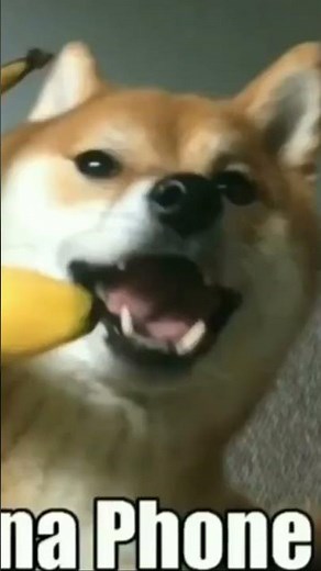 Banana phone meme