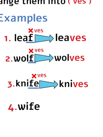 Nouns and Pronouns in English