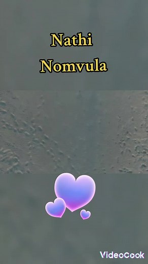 Nomvula by Nathi: Full Song Cover and Lyrics